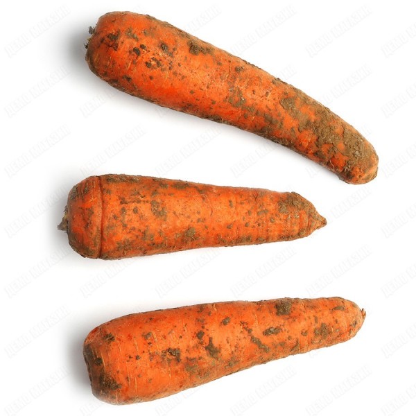 Морковь Россия 0,4-0,8кг